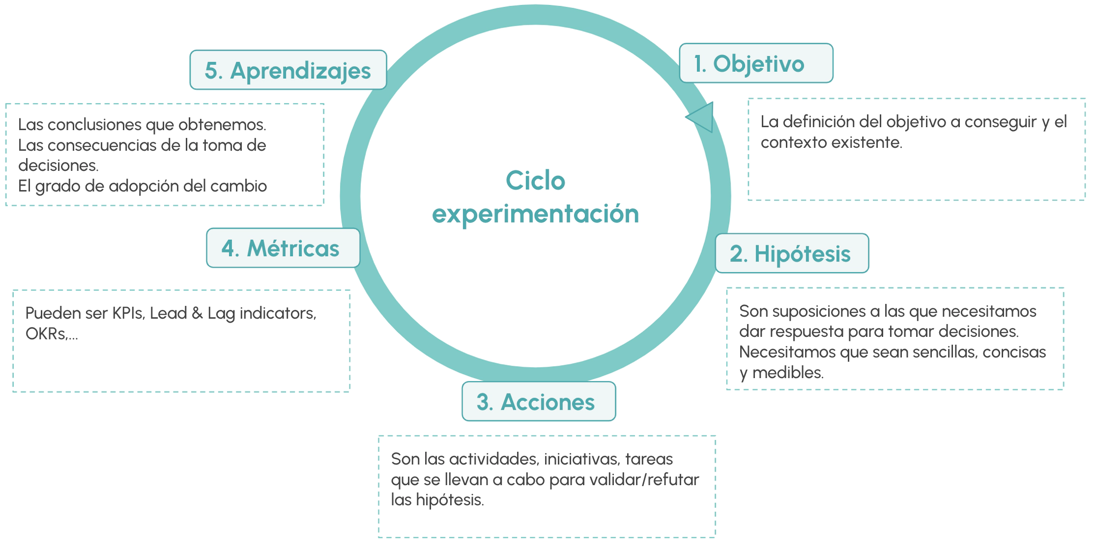 Proceso de trabajo de la experimentación Proceso de trabajo de la experimentación